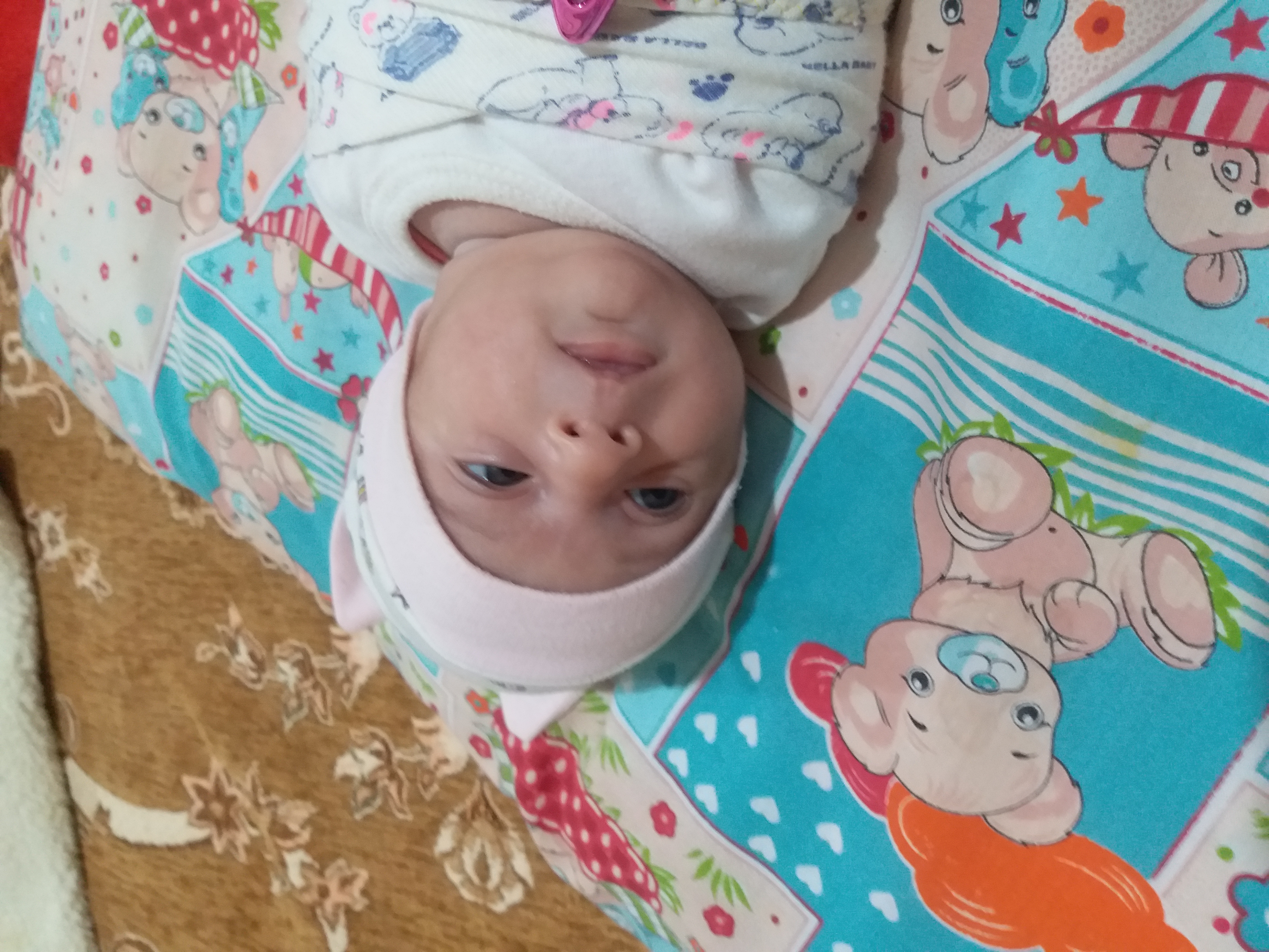 آوا پایابیده براهویی