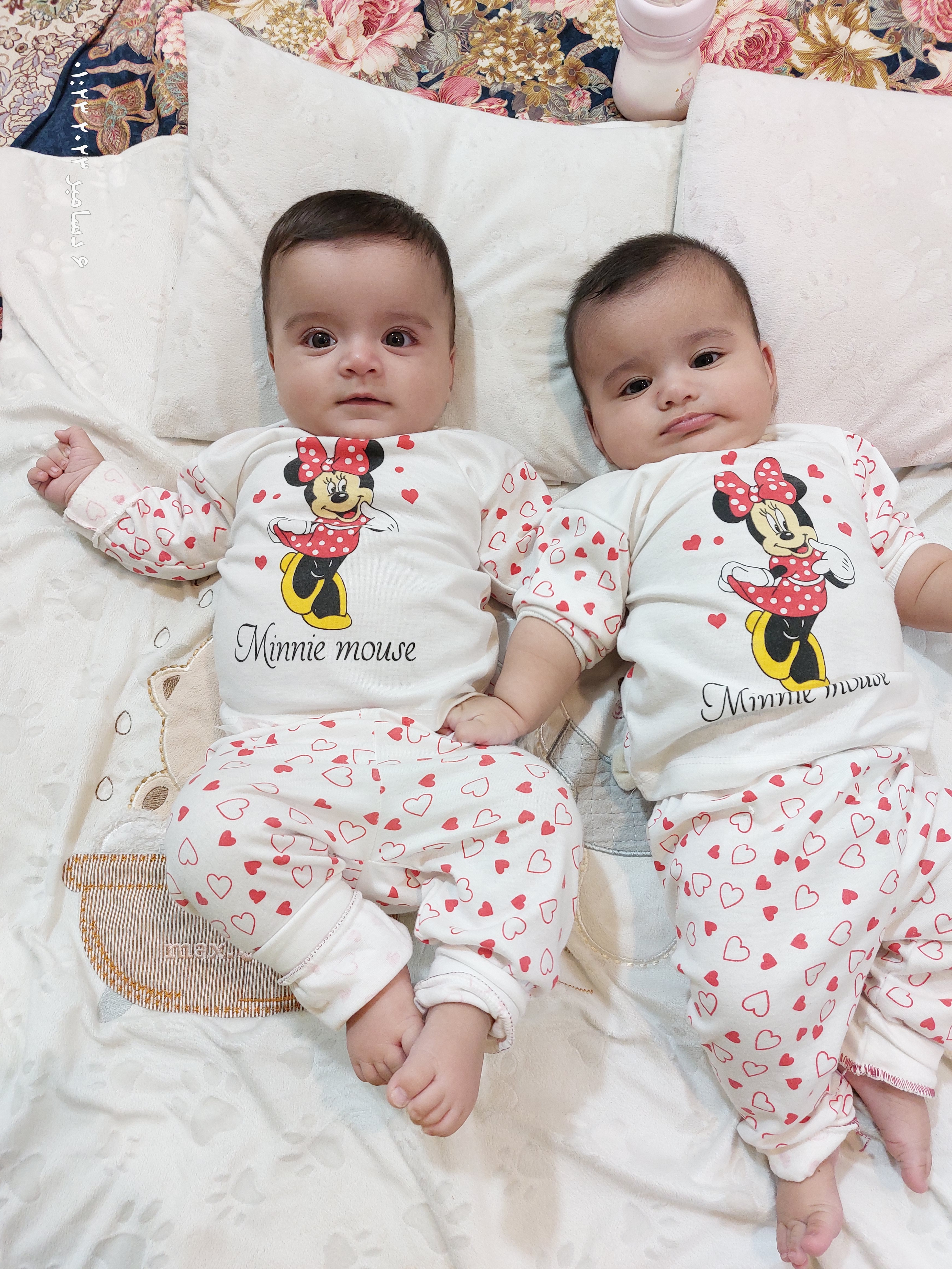 سبحانی نژاد