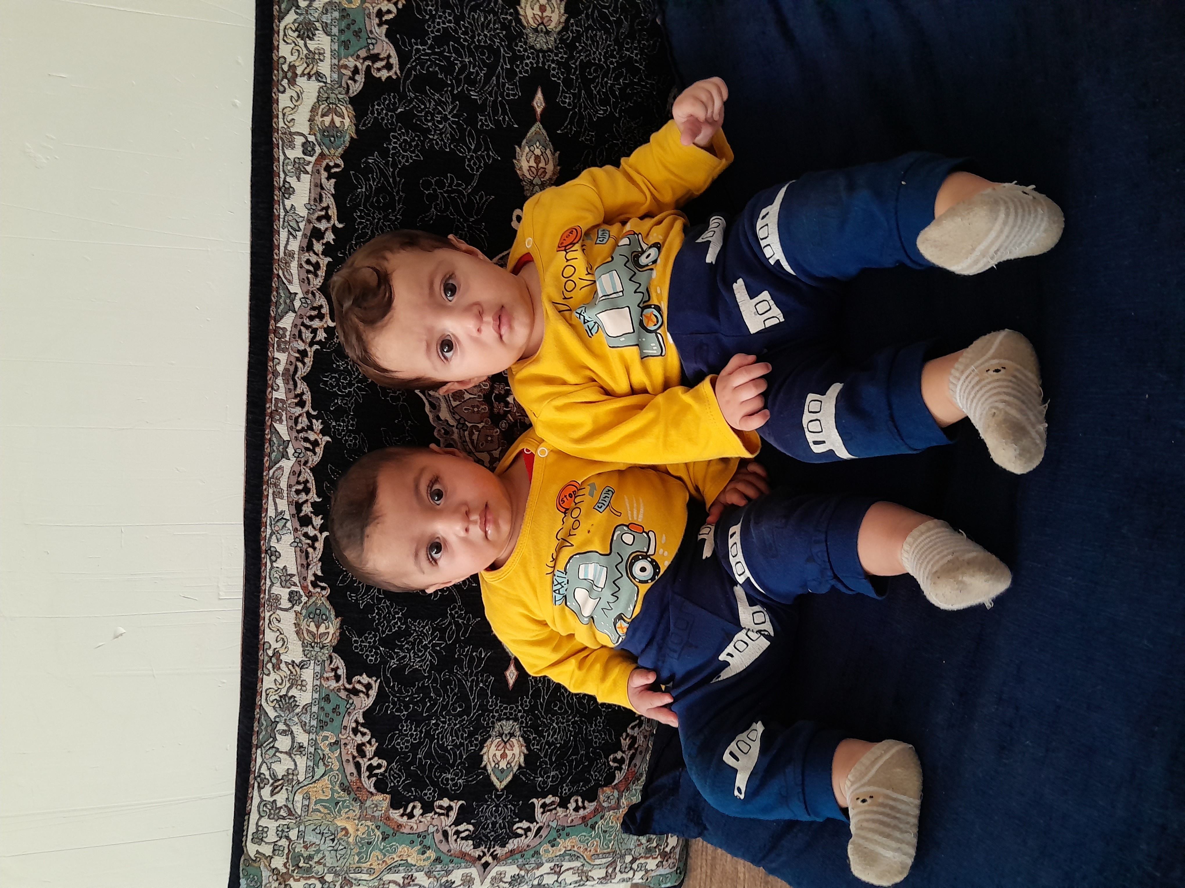 زارعی احمدی