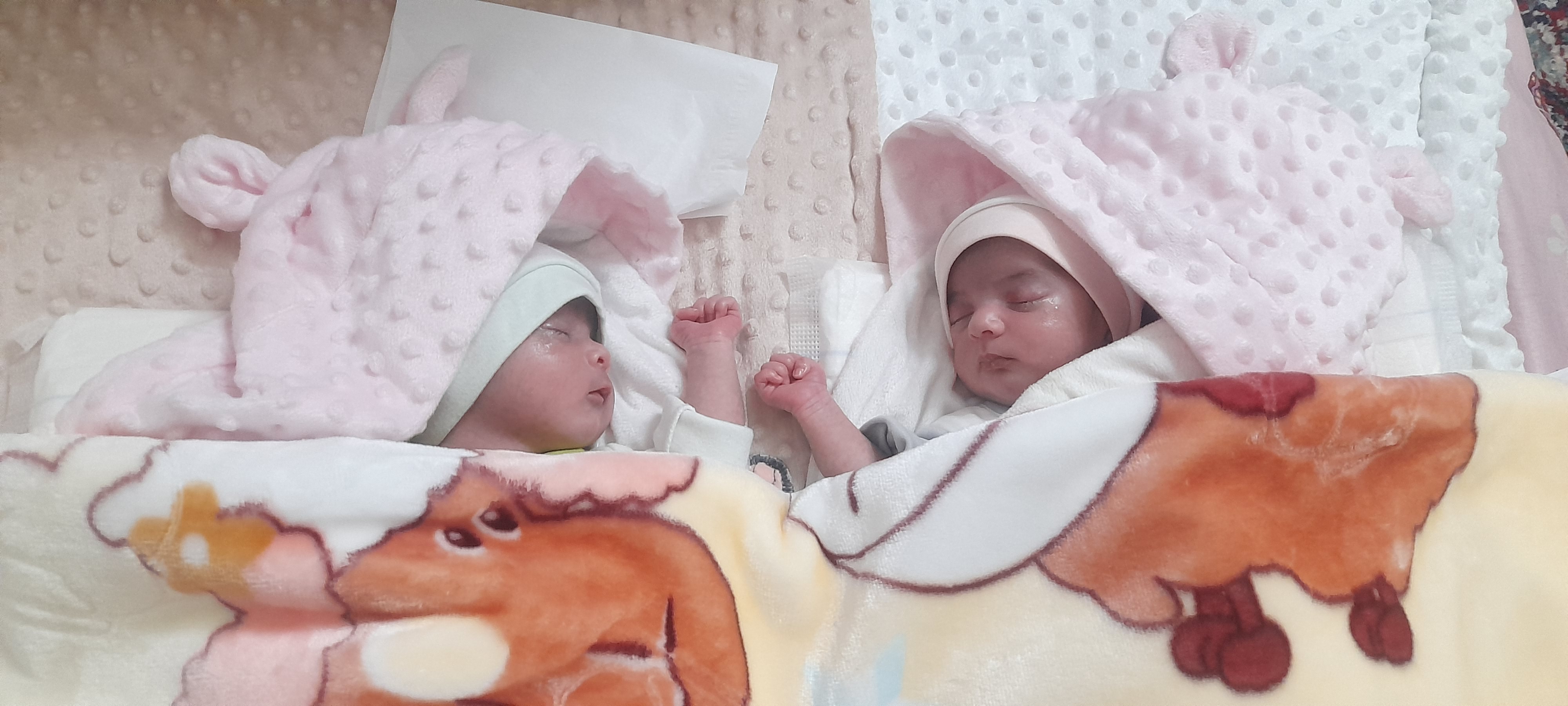 ماهلین نوربخش دولق